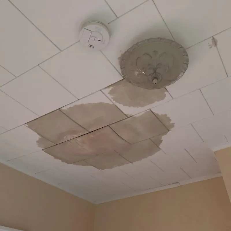 Ceiling Water Damage Repair in Westwego, LA